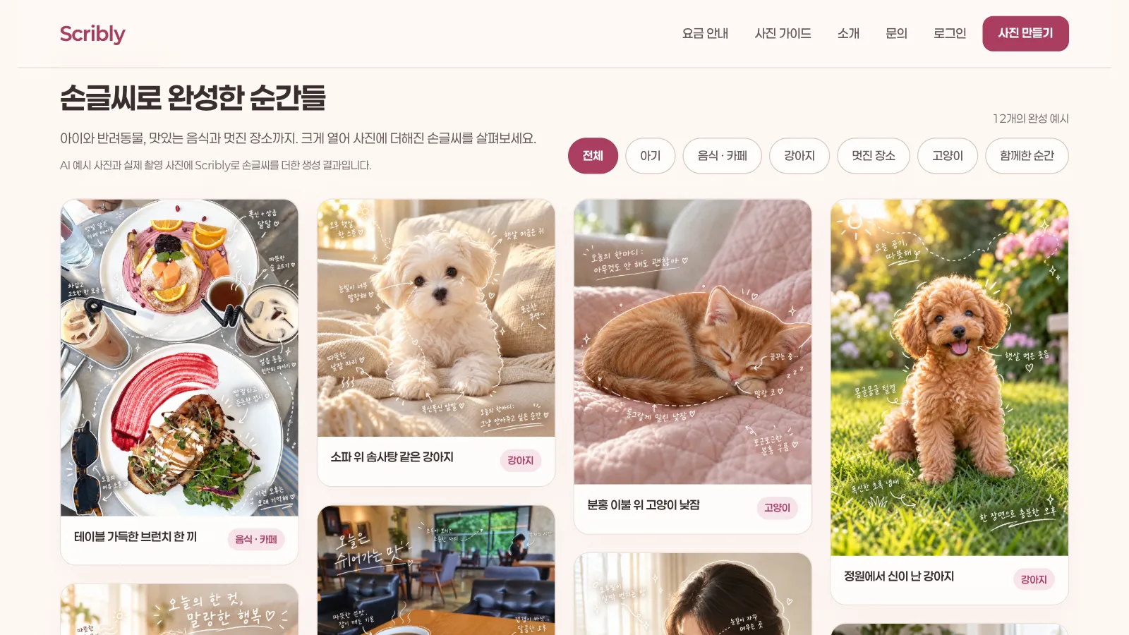 완성 예시 갤러리 — 아기 · 음식 · 카페 · 반려동물 등 주제별로 손글씨를 더한 예시 사진을 둘러봅니다.